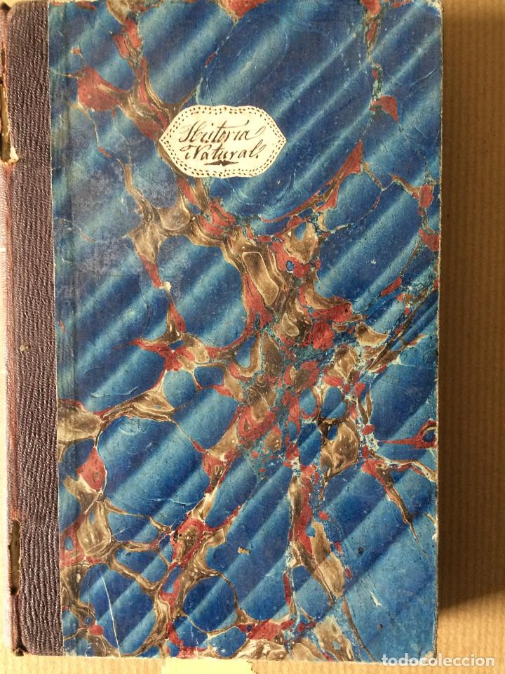 Libros antiguos: LUIS PEREZ MINGUEZ  (GEOLOGIA 1866) - Foto 2