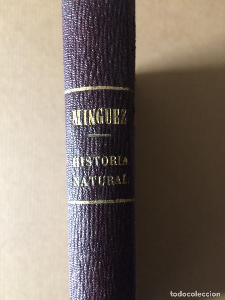 Libros antiguos: LUIS PEREZ MINGUEZ  (GEOLOGIA 1866) - Foto 3