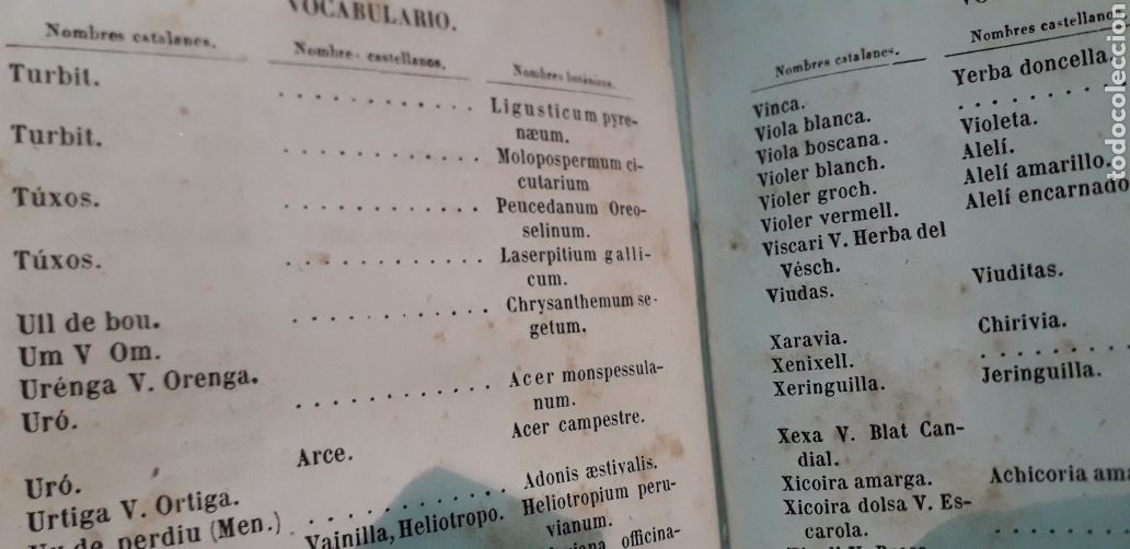 Libros antiguos: antonio cipriano costa introduccion a la flora de catalu&ntilde;a - Foto 8