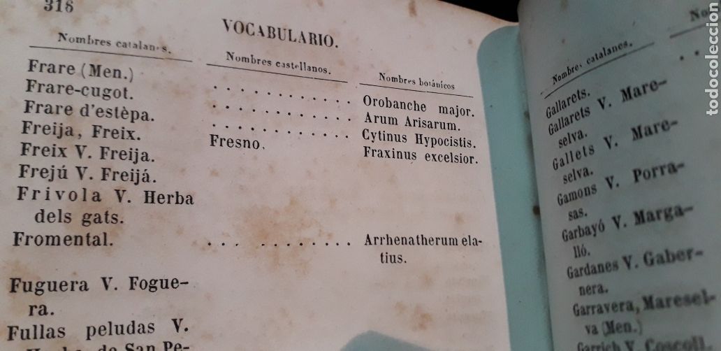Libros antiguos: antonio cipriano costa introduccion a la flora de catalu&ntilde;a - Foto 10