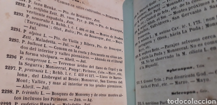 Libros antiguos: antonio cipriano costa introduccion a la flora de catalu&ntilde;a - Foto 11