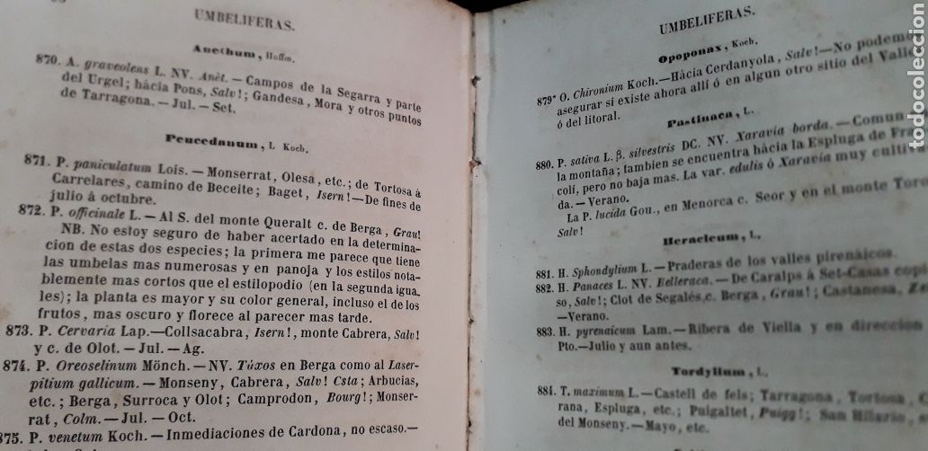 Libros antiguos: antonio cipriano costa introduccion a la flora de catalu&ntilde;a - Foto 12