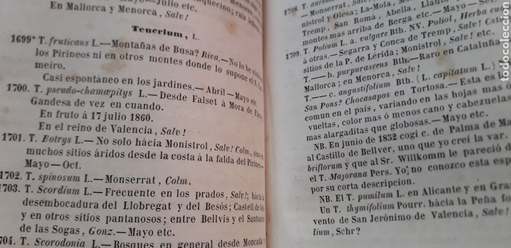 Libros antiguos: antonio cipriano costa introduccion a la flora de catalu&ntilde;a - Foto 13