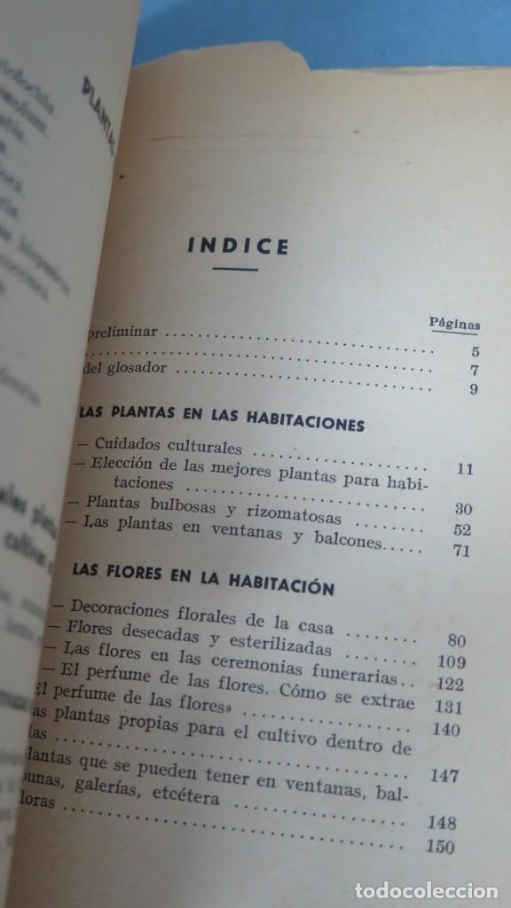 Libros antiguos: PLANTAS Y FLORES EN CASA. BLANCHON - Foto 3