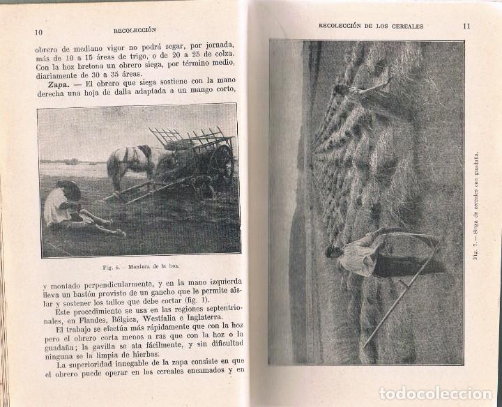 Libros antiguos: AGRICULTURA GENERAL. P. DIFFLOTH. - Foto 3