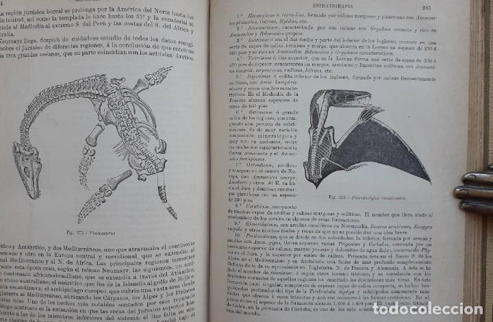 14 Mineralogia Geologia Paleontologia Mi Sold At Auction