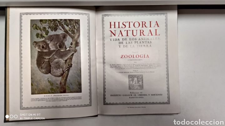 Libros antiguos: HISTORIA NATURAL.1925 - Foto 2