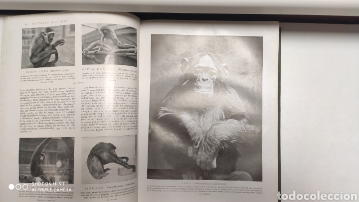 Libros antiguos: HISTORIA NATURAL.1925 - Foto 3