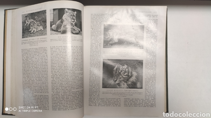 Libros antiguos: HISTORIA NATURAL.1925 - Foto 4