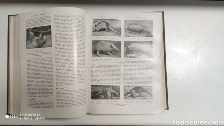 Libros antiguos: HISTORIA NATURAL.1925 - Foto 5