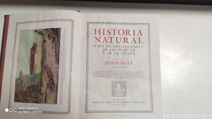Libros antiguos: HISTORIA NATURAL.1925 - Foto 6