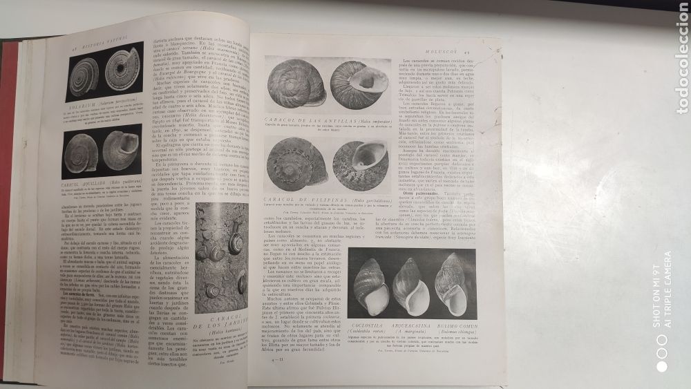 Libros antiguos: HISTORIA NATURAL.1925 - Foto 7