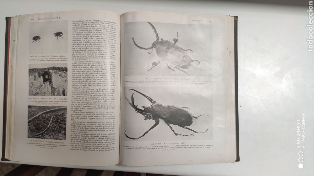 Libros antiguos: HISTORIA NATURAL.1925 - Foto 9