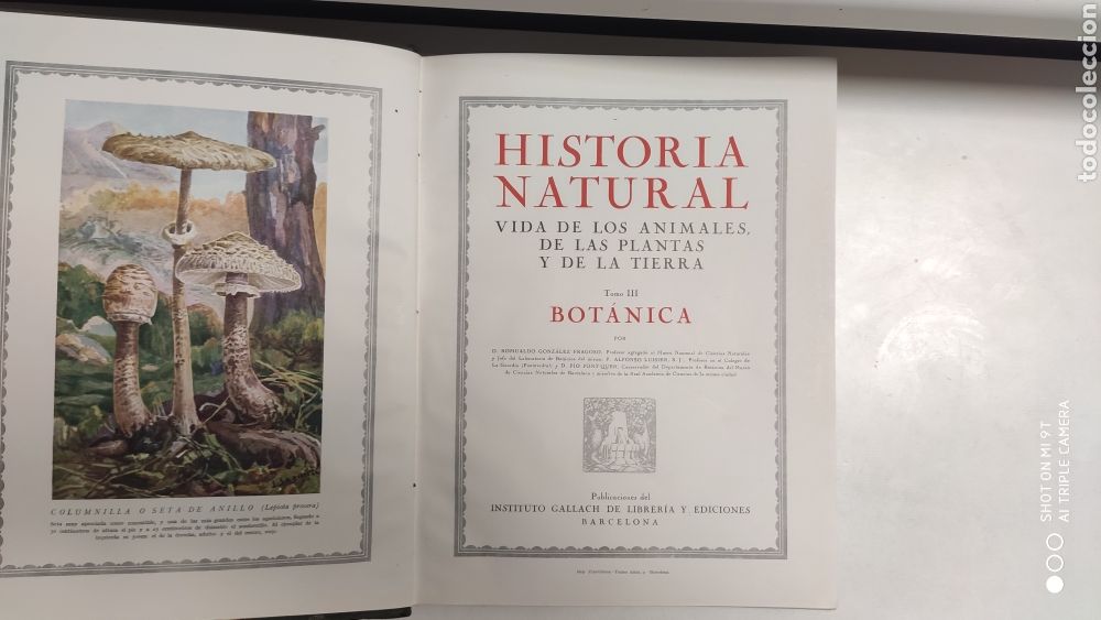 Libros antiguos: HISTORIA NATURAL.1925 - Foto 11