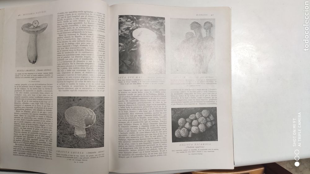 Libros antiguos: HISTORIA NATURAL.1925 - Foto 12
