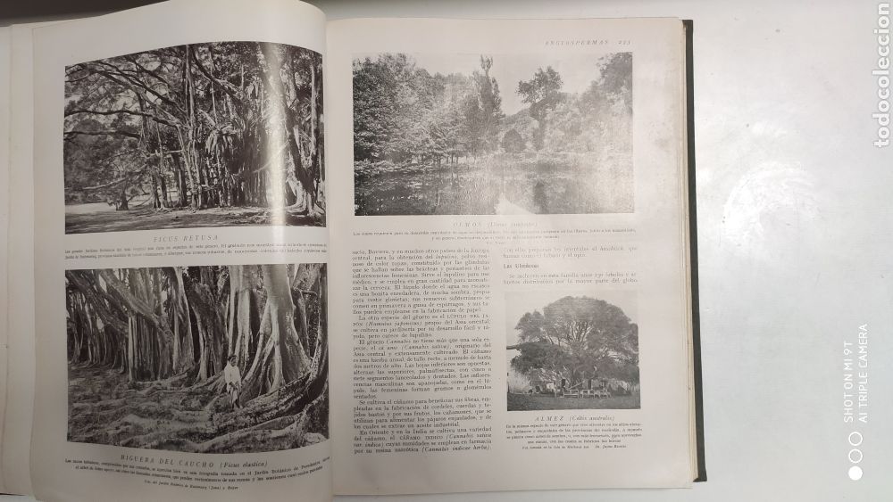 Libros antiguos: HISTORIA NATURAL.1925 - Foto 13