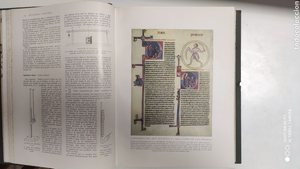 Libros antiguos: HISTORIA NATURAL.1925 - Foto 15
