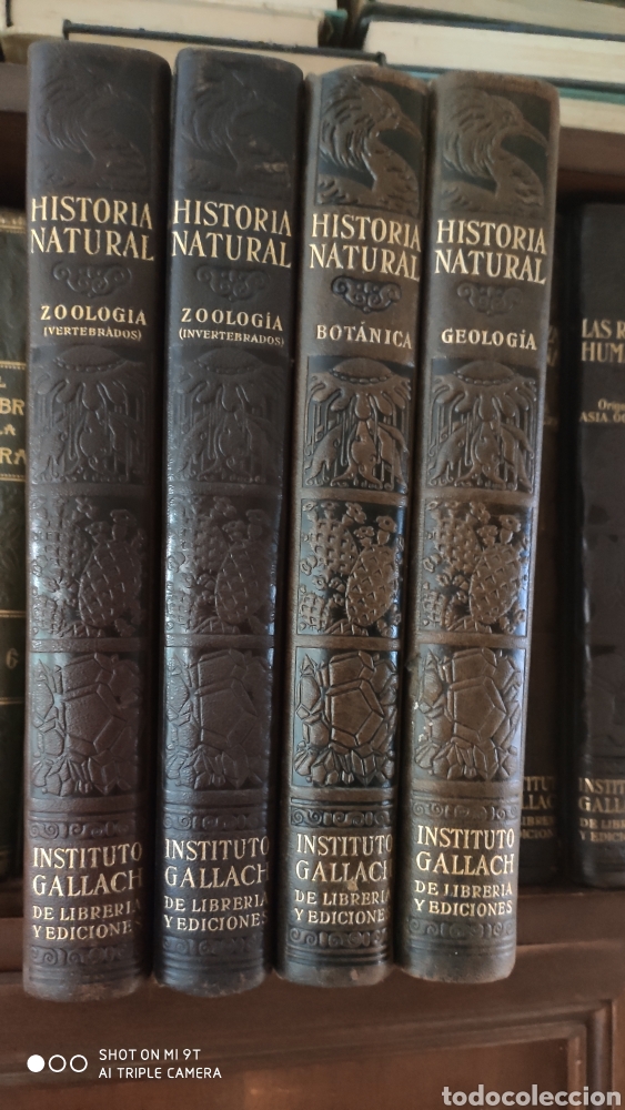 Libros antiguos: HISTORIA NATURAL.1925 - Foto 1