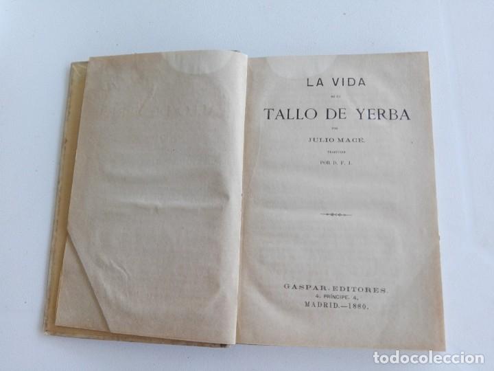 Libros antiguos: La vida de un tallo de yerba 1880 - Foto 3