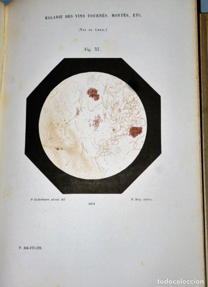 Libros antiguos: LOUIS PASTEUR - &Eacute;TUDES SUR LE VIN - Foto 3