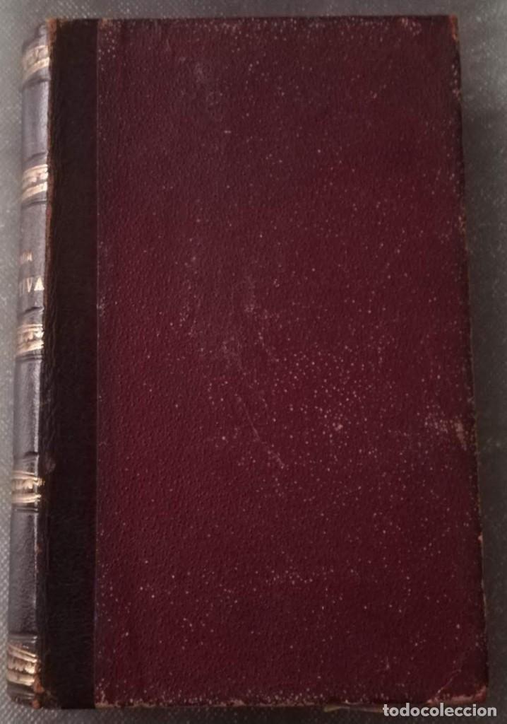 Libros antiguos: ANATOM&Iacute;A DESCRIPTIVA DEL CUERPO HUMANO. 1870. - Foto 1