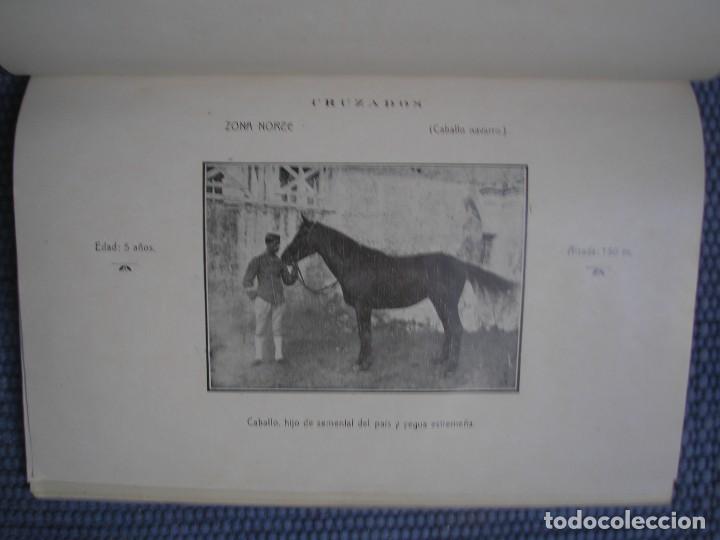 Libros antiguos: La ganader&iacute;a caballar en Navarra - Foto 2