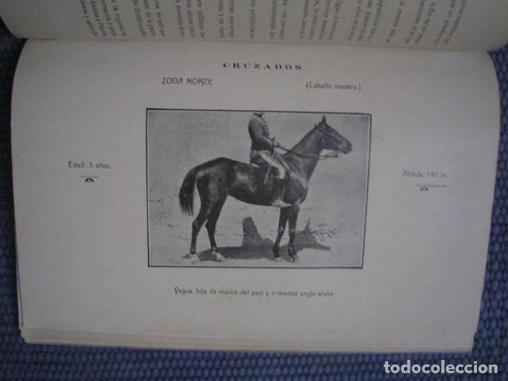 Libros antiguos: La ganader&iacute;a caballar en Navarra - Foto 3