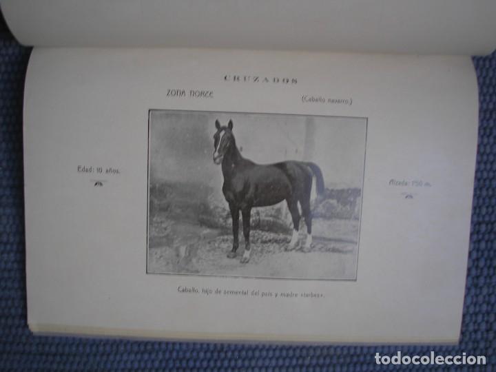 Libros antiguos: La ganader&iacute;a caballar en Navarra - Foto 4