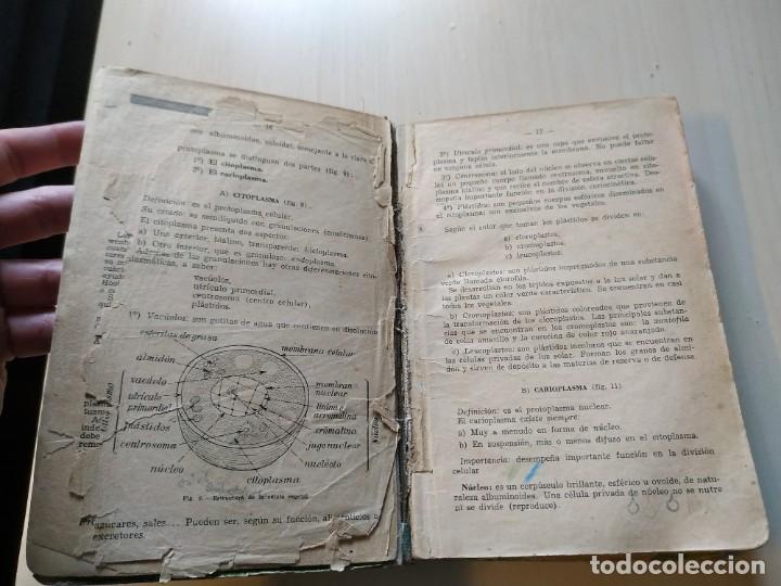Libros antiguos: Bot&aacute;nica - Jorge Vidal. Libro raro con defectos. - Foto 5