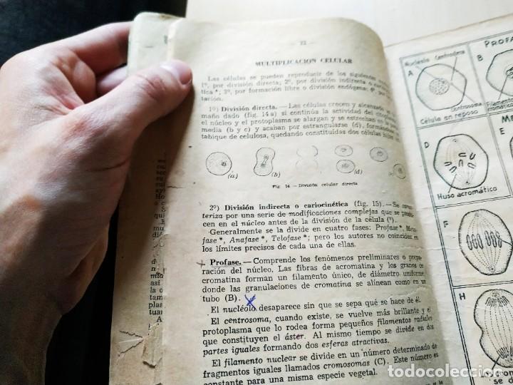 Libros antiguos: Bot&aacute;nica - Jorge Vidal. Libro raro con defectos. - Foto 7