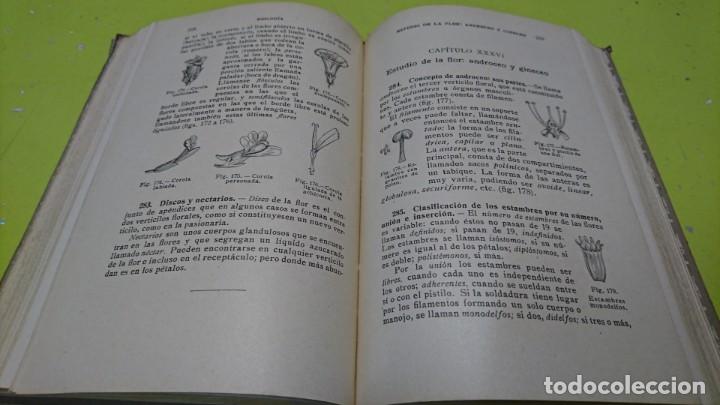Libros antiguos: HISTORIA NATURAL, IGNACIO PUIG, 1932 - Foto 6