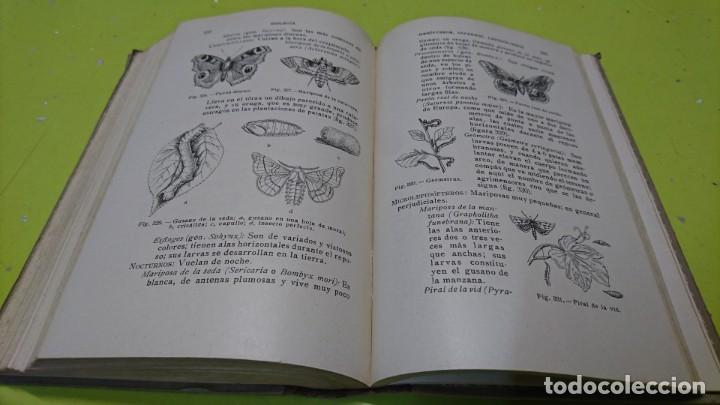 Libros antiguos: HISTORIA NATURAL, IGNACIO PUIG, 1932 - Foto 7