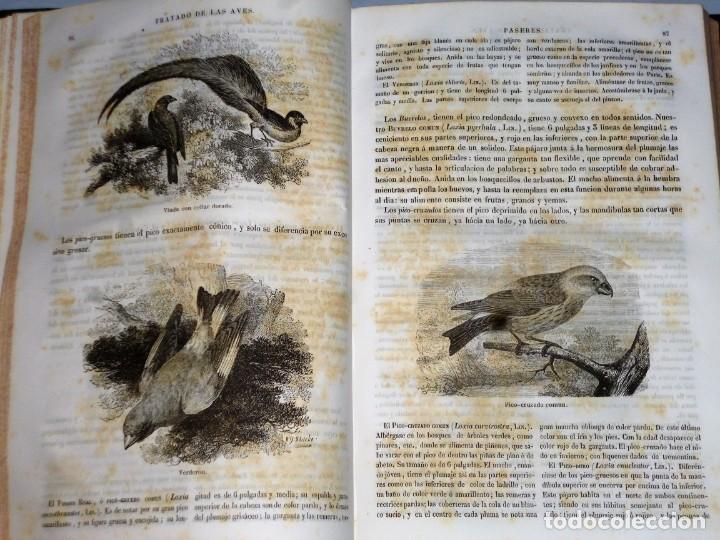 Libros antiguos: MUSEO DE HISTORIA NATURAL. - Foto 3