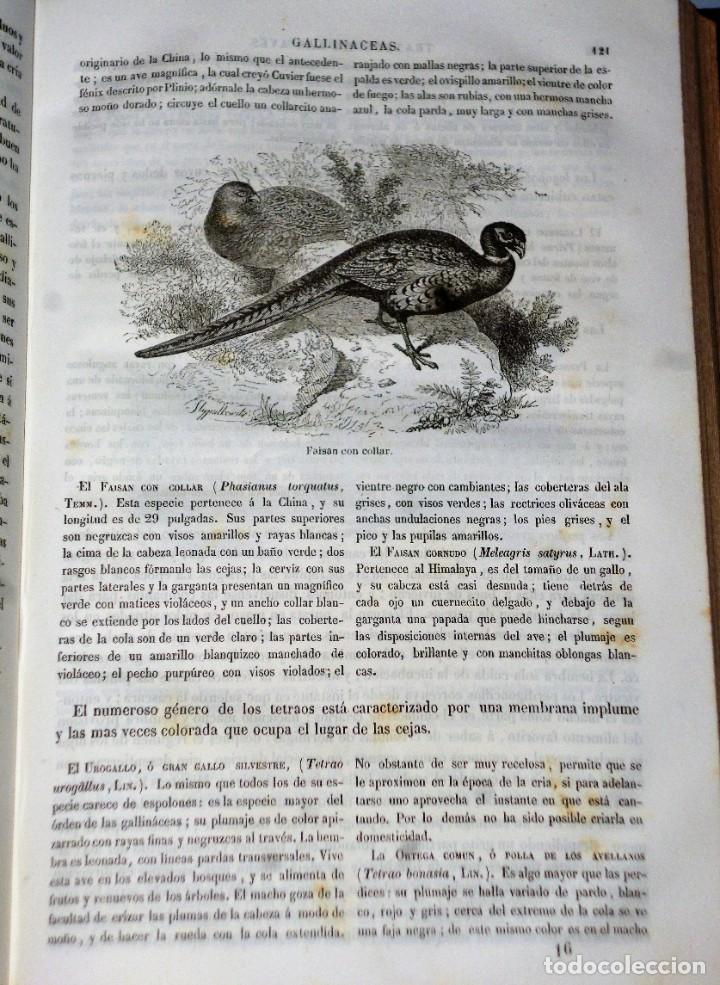 Libros antiguos: MUSEO DE HISTORIA NATURAL. - Foto 6