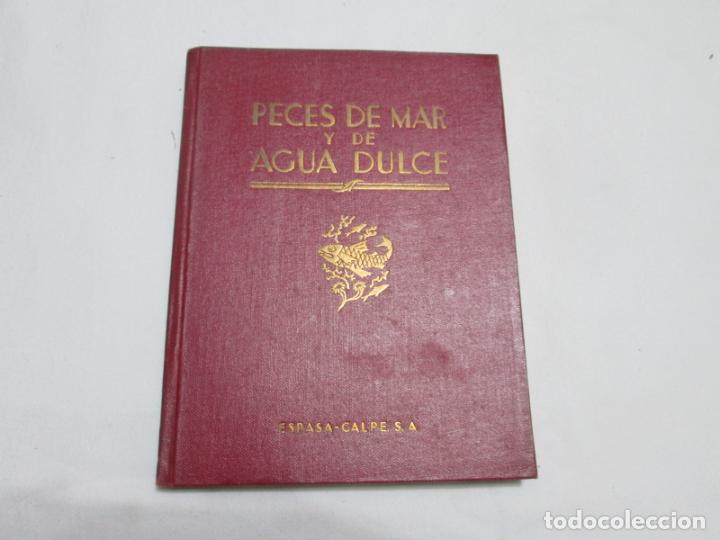 Libros antiguos: PECES DE MAR Y DE AGUA DULCE - ANGEL CABRERA - 1936 - Foto 1