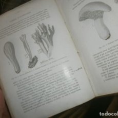 Libros antiguos: BOTÁNICA CRIPTOGÁMICA Y EN PARTICULAR DE LAS ESPECIES MEDICINALES DE LA FLORA ESPAÑOLA 1925 . RIVAS