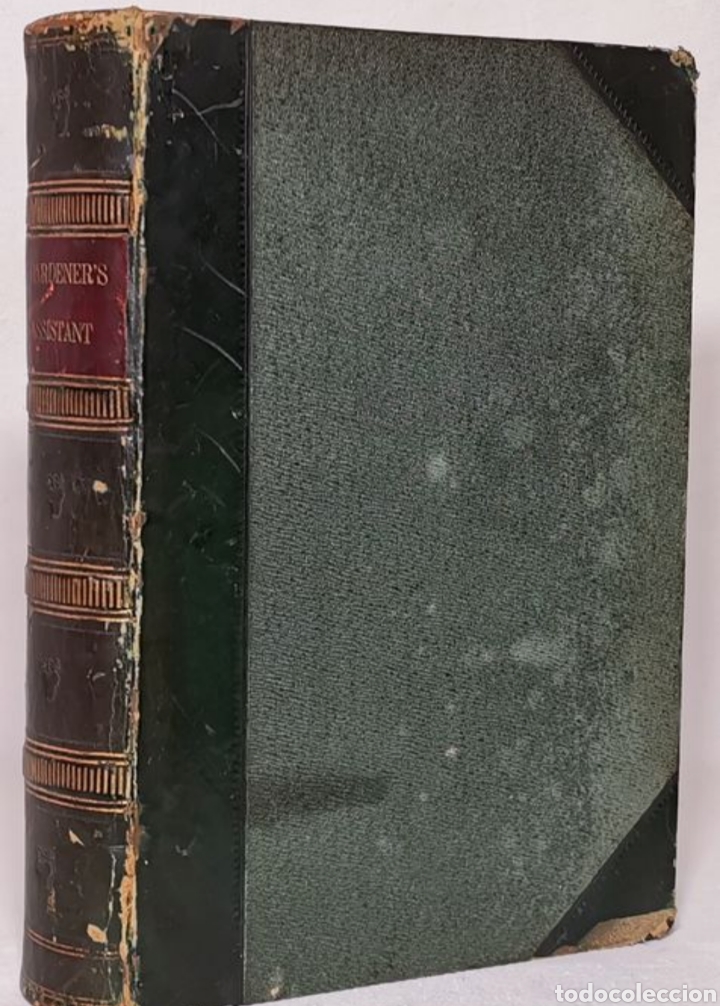 Libros antiguos: ROBERT THOMPSON. The gardeners assistant. practical and scientific. 1857. el asistente del jardinero - Foto 5 - 219769436