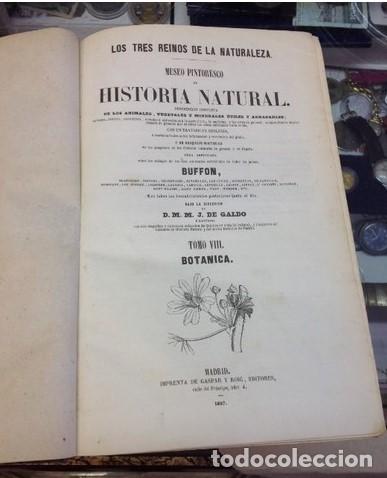 Libros antiguos: HISTORIA NATURAL.1857.BOTANICA - Foto 2