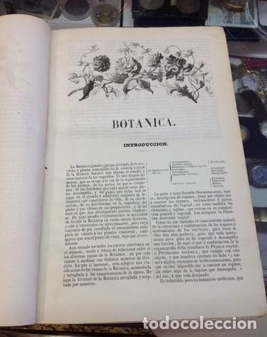 Libros antiguos: HISTORIA NATURAL.1857.BOTANICA - Foto 3