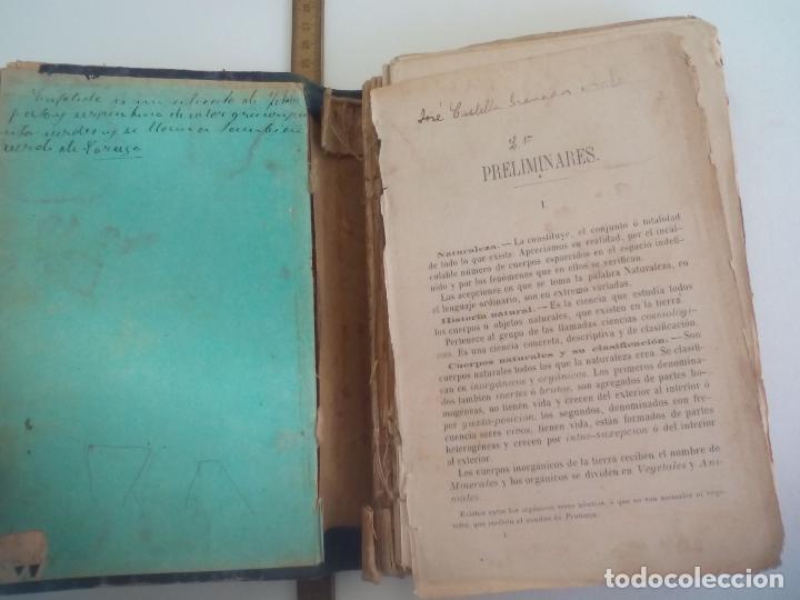 Libros antiguos: HISTORIA NATURAL.J. M. DE L. - Foto 2