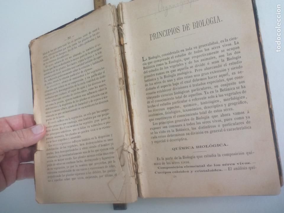 Libros antiguos: HISTORIA NATURAL.J. M. DE L. - Foto 3