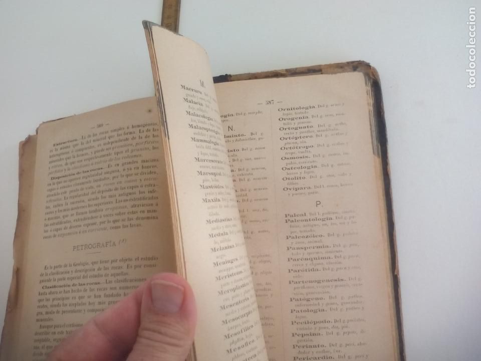 Libros antiguos: HISTORIA NATURAL.J. M. DE L. - Foto 6