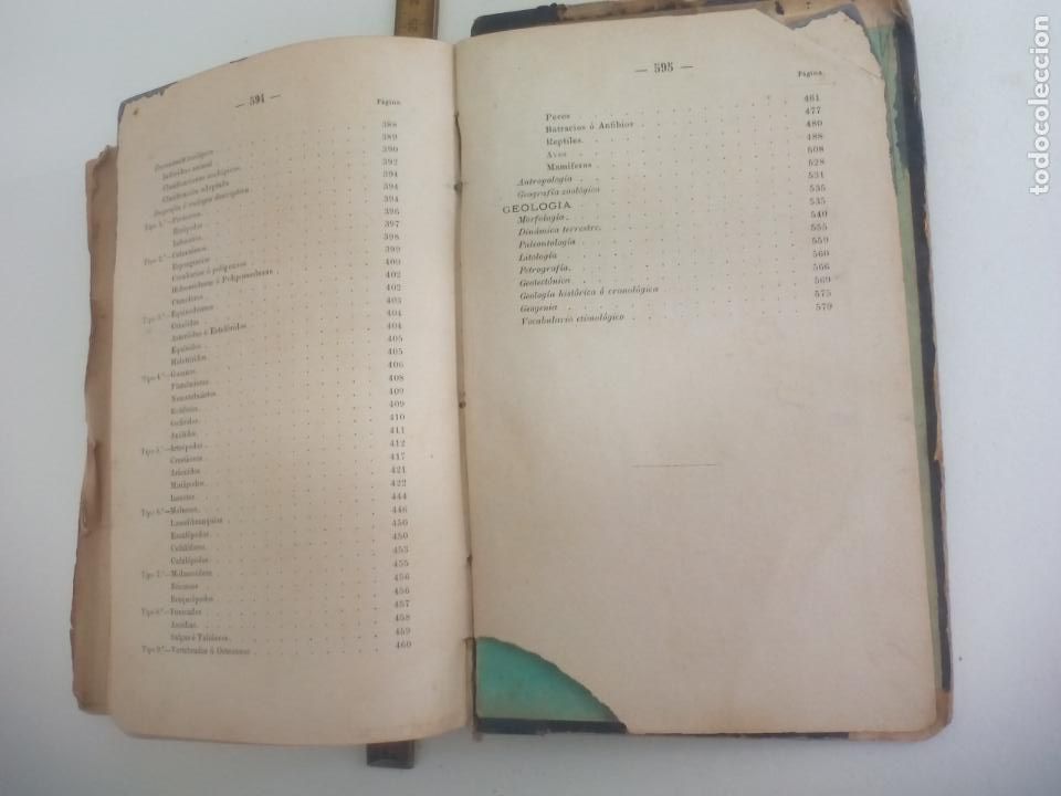 Libros antiguos: HISTORIA NATURAL.J. M. DE L. - Foto 7
