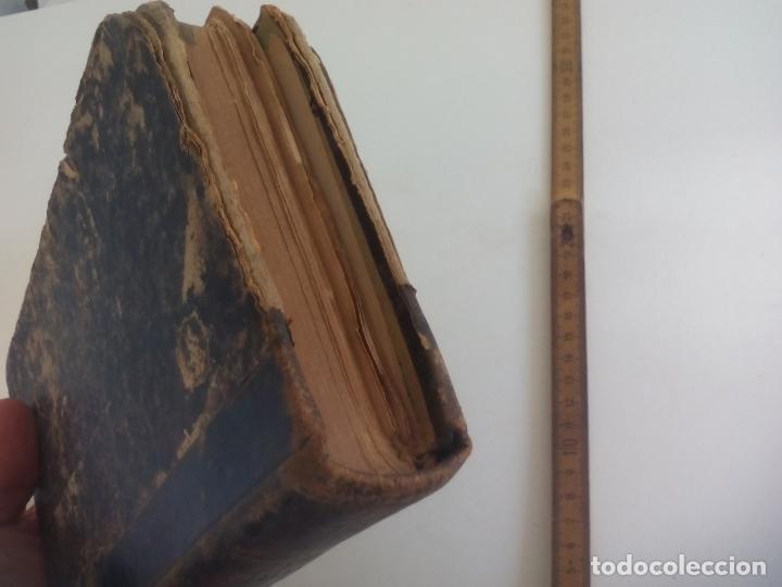Libros antiguos: HISTORIA NATURAL.J. M. DE L. - Foto 9