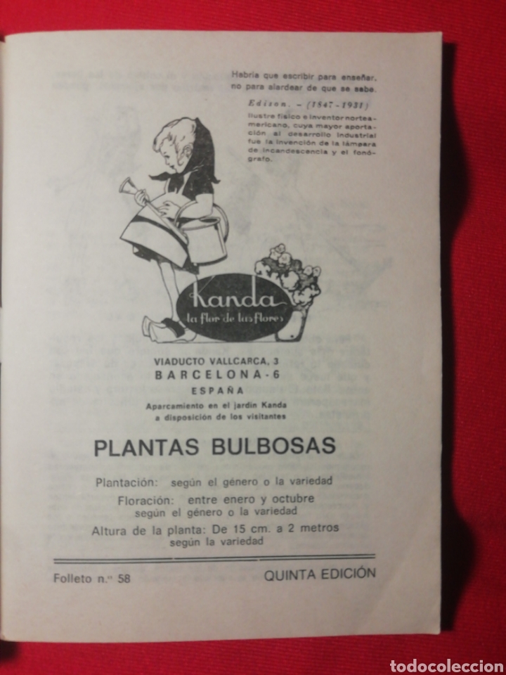 Libros antiguos: PLANTAS BULBOSAS, KANDA, LA FLOR DE LAS FLORES - Foto 2