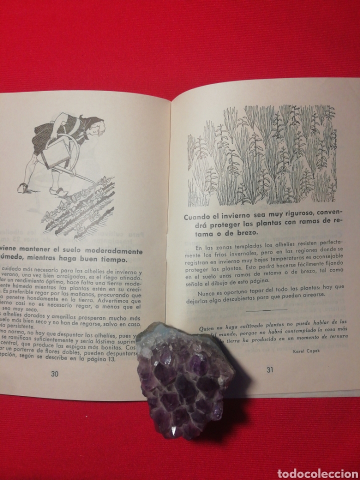 Libros antiguos: ALHEL&Iacute;ES. KANDA LA FLOR DE LAS FLORES. - Foto 2
