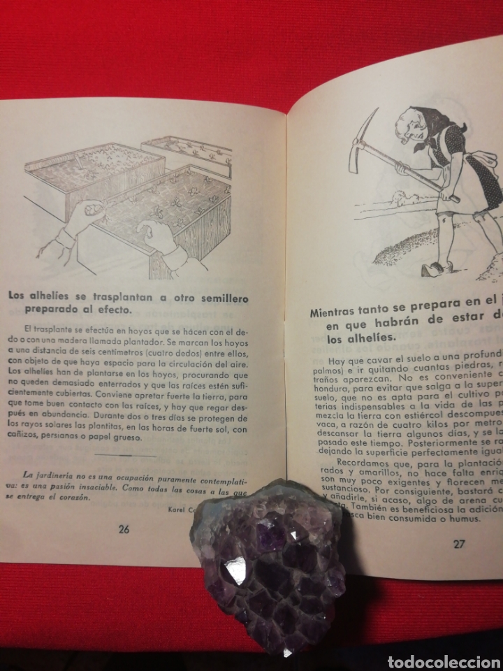 Libros antiguos: ALHEL&Iacute;ES. KANDA LA FLOR DE LAS FLORES. - Foto 3