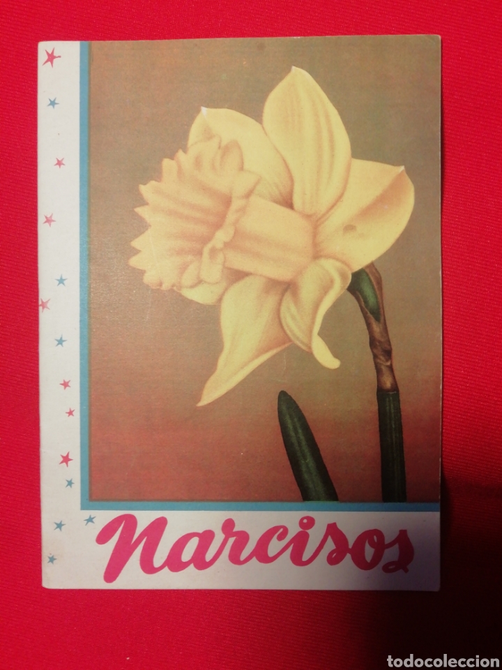 Libros antiguos: NARCISOS. KANDA LA FLOR DE LAS FLORES.. - Foto 1