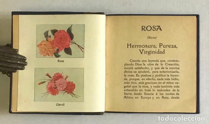 Libros antiguos: FLORES. - CAMB&Oacute;N Y FRAGA, Manuel. - Foto 4