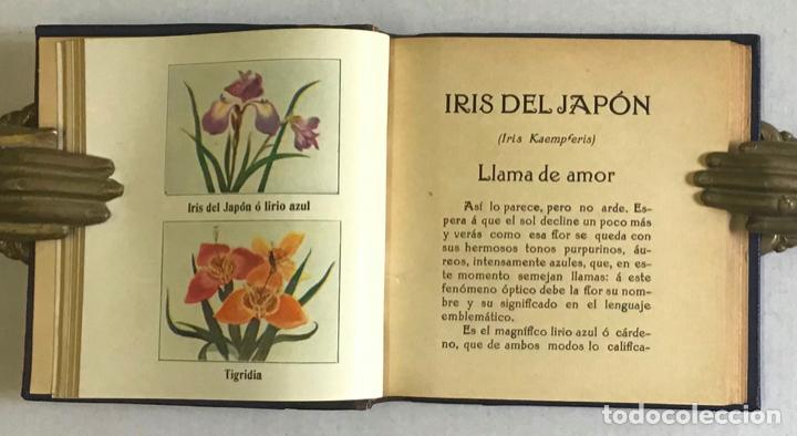 Libros antiguos: FLORES. - CAMB&Oacute;N Y FRAGA, Manuel. - Foto 5